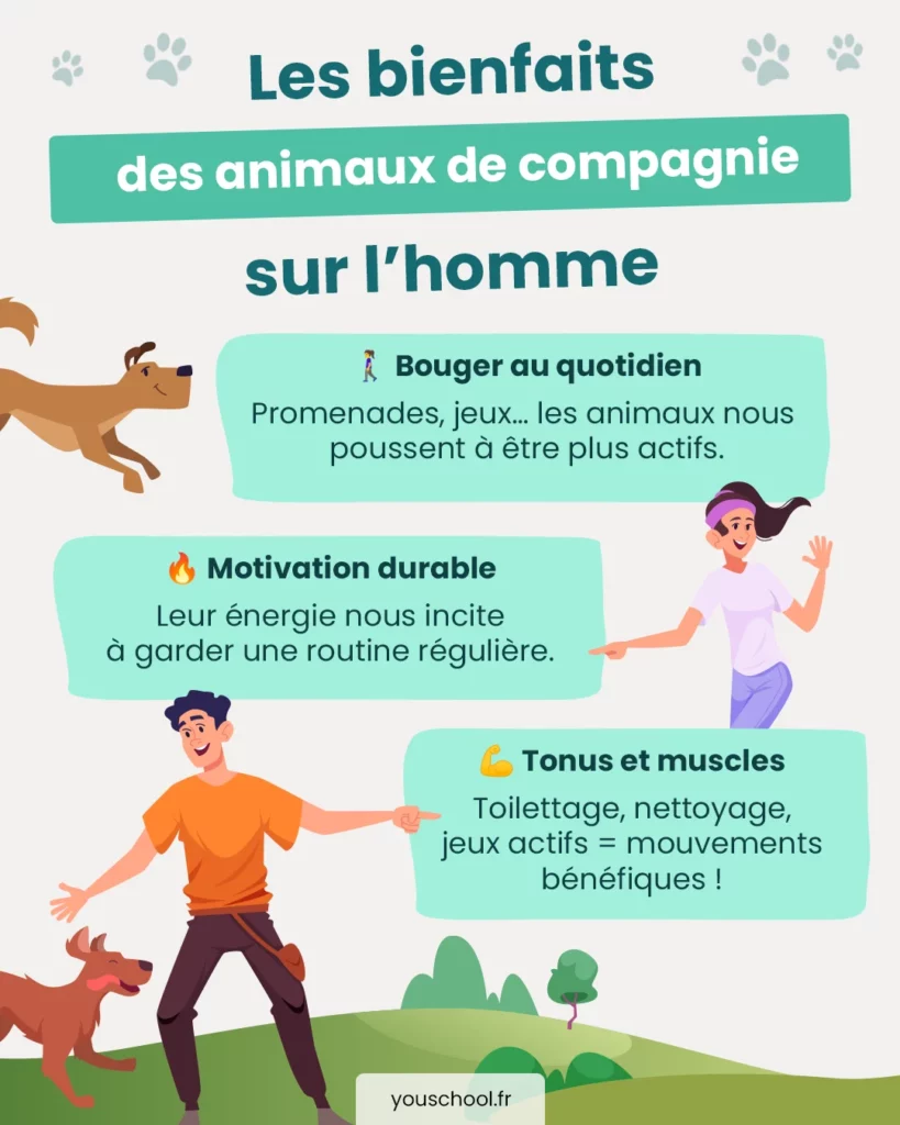 les bienfaits des animaux de compagnie sur l'homme en général