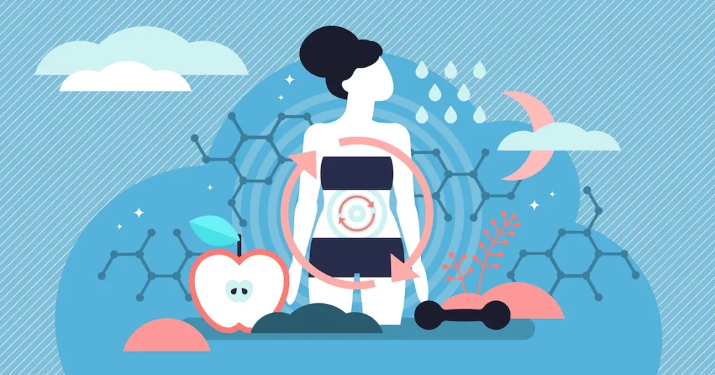 Métabolisme nutrition