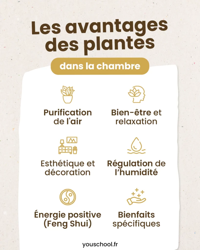 les nombreux avantages à mettre des plantes dans sa chambre