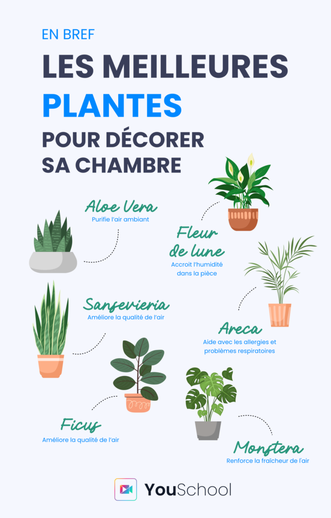 plantes-decoration-chambre