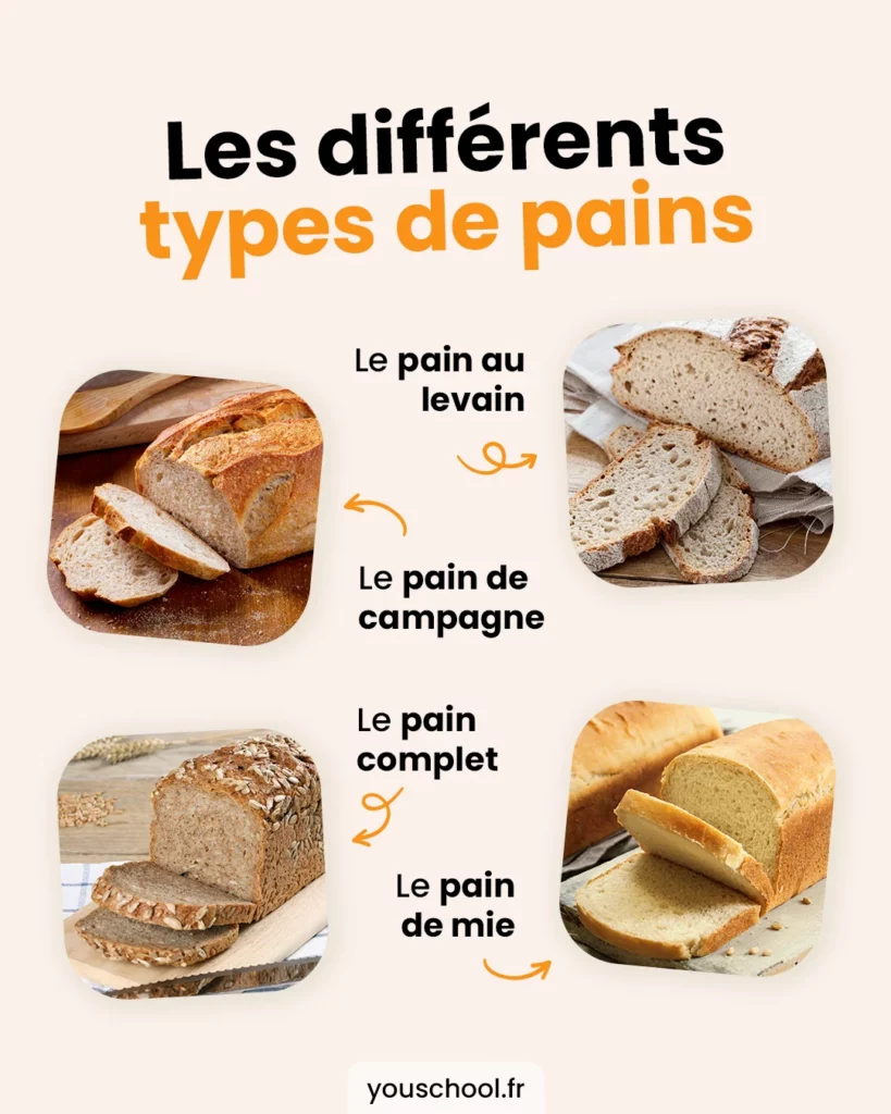 Les différents types de pains étudiés pendant le CAP Boulanger avec YouSchool