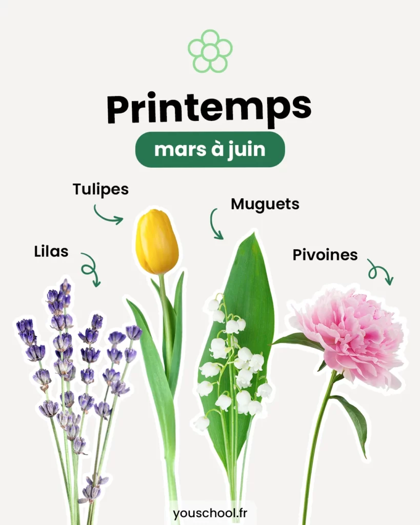 Le calendrier des saisons des fleurs