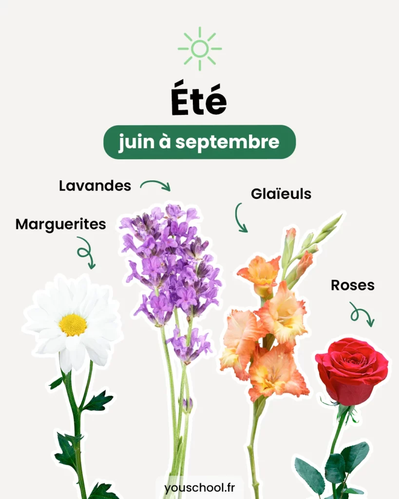 Le calendrier des saisons des fleurs