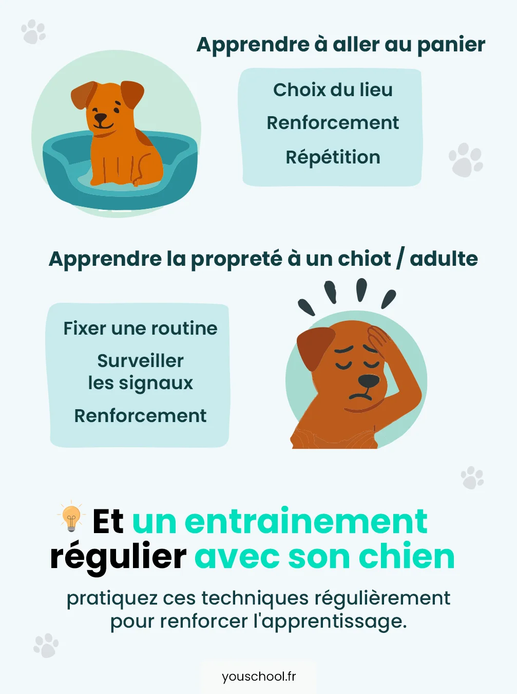 Dans quelles situations utiliser la méthode positive sur son chien