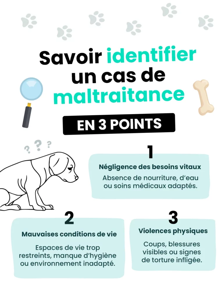 Les 3 points pour identifier un cas de maltraitance animale
