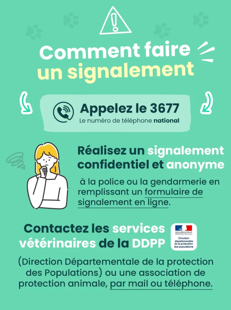 Comment faire un signalement pour maltraitance animale