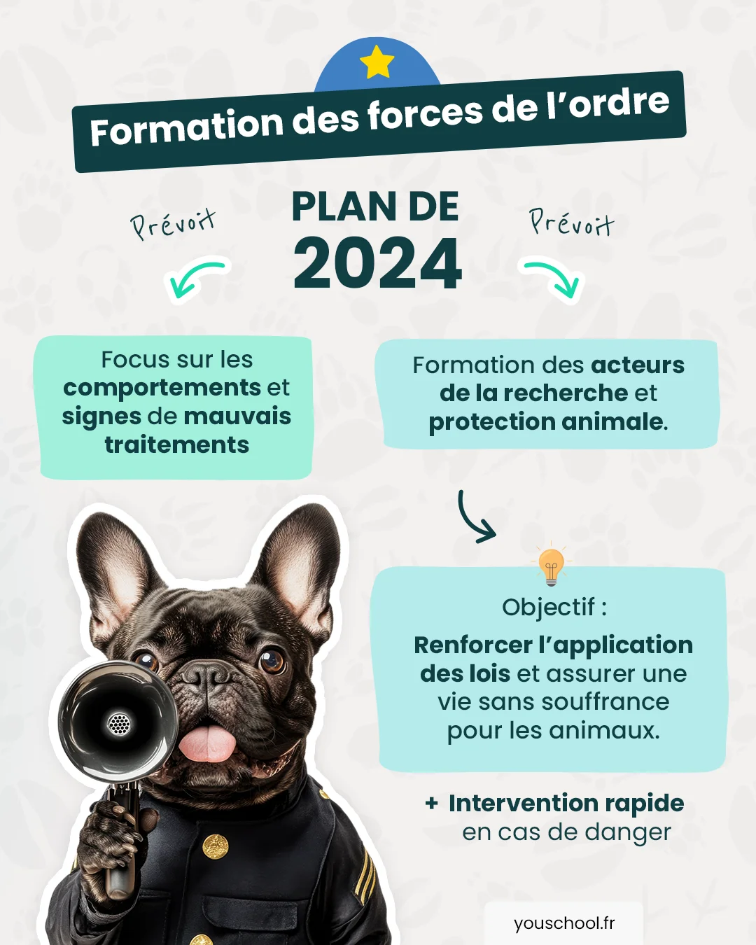Sanctions renforcées contre la maltraitance animale en France ​: plan de formation des forces de l'ordre