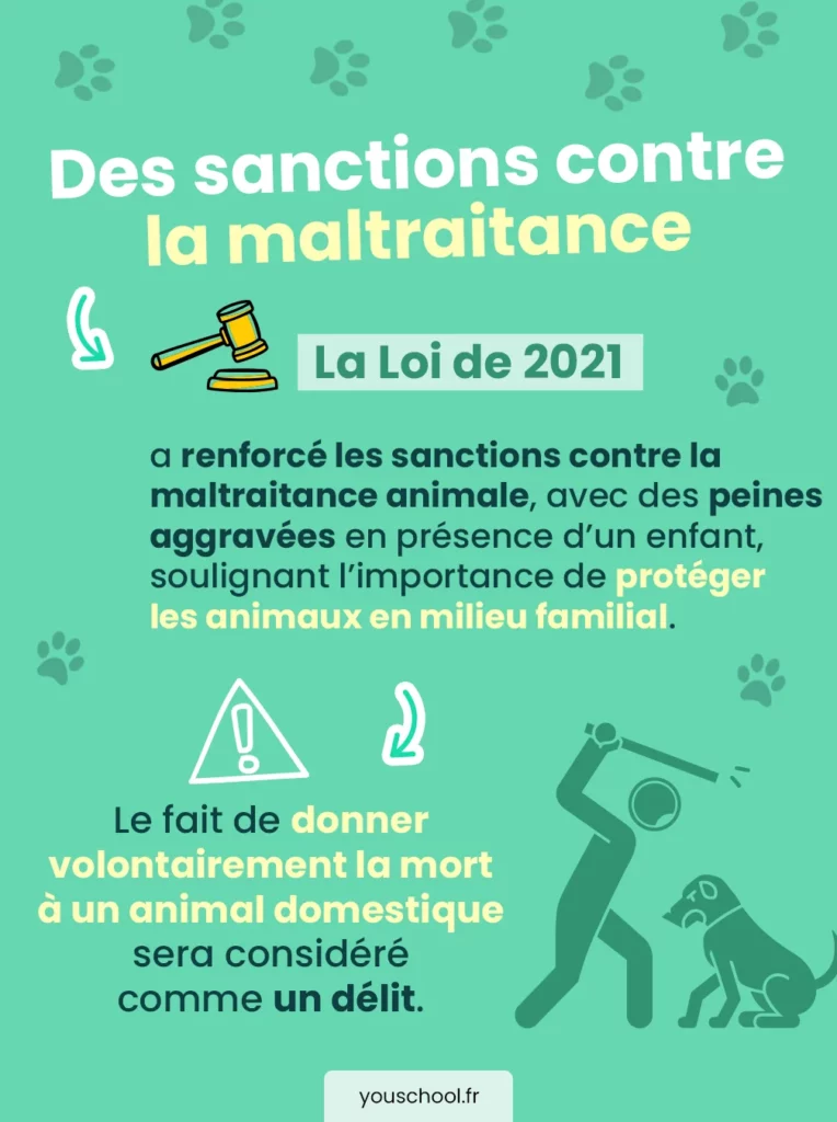 Sanctions renforcées contre la maltraitance animale en France ​