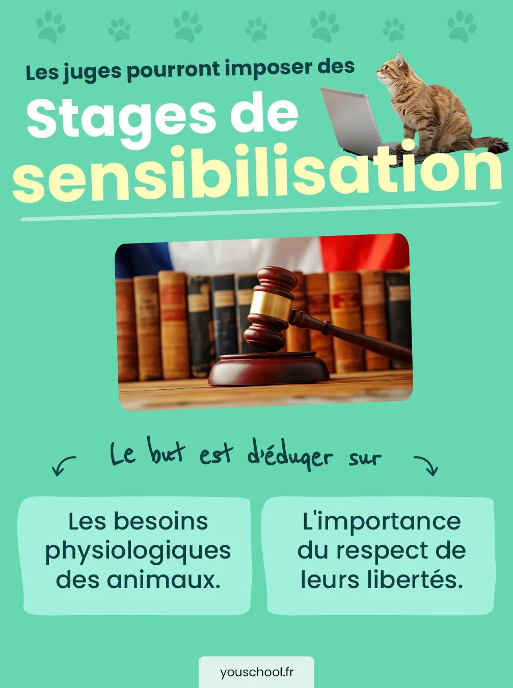 Sanctions renforcées contre la maltraitance animale en France ​: stages de sensibilisation