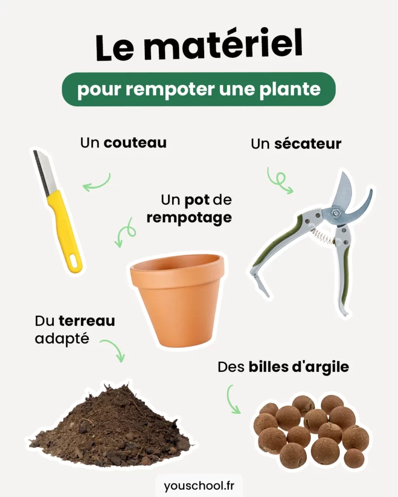 Le matériel essentiel pour rempoter une plante