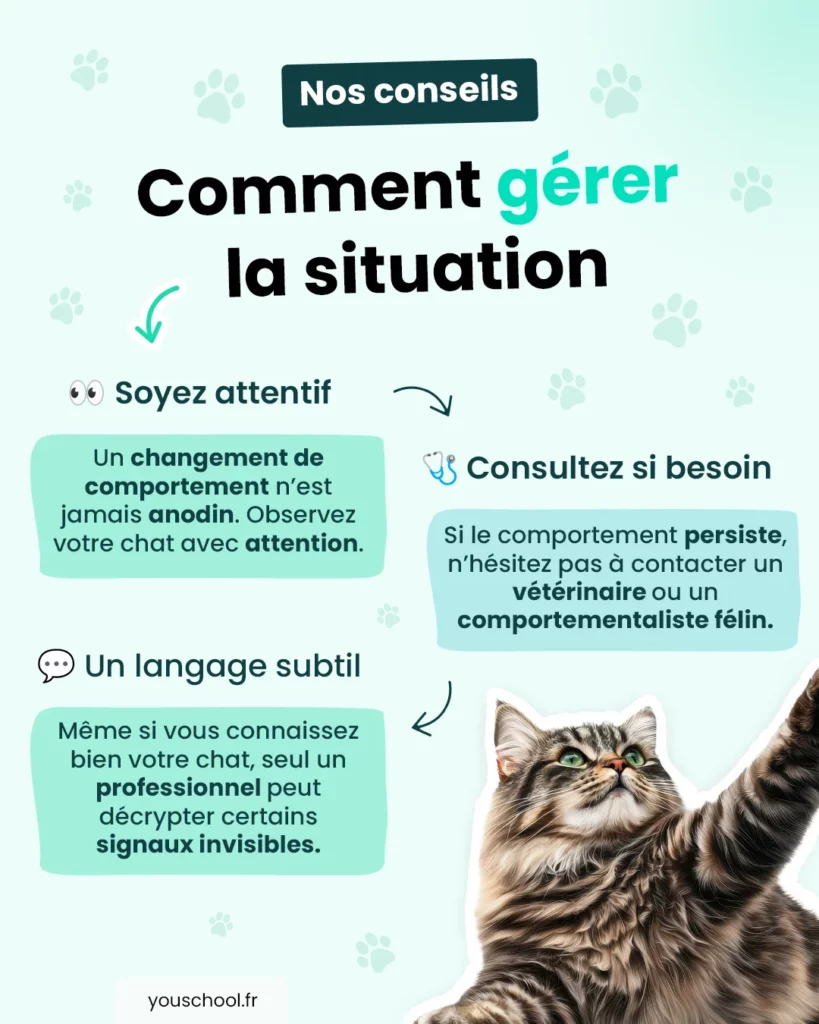 Comment gérer la situation où votre chat a un comportement inhabituel