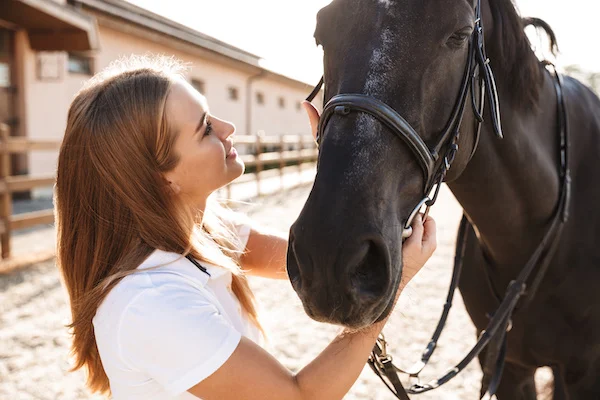 Cheval débourré