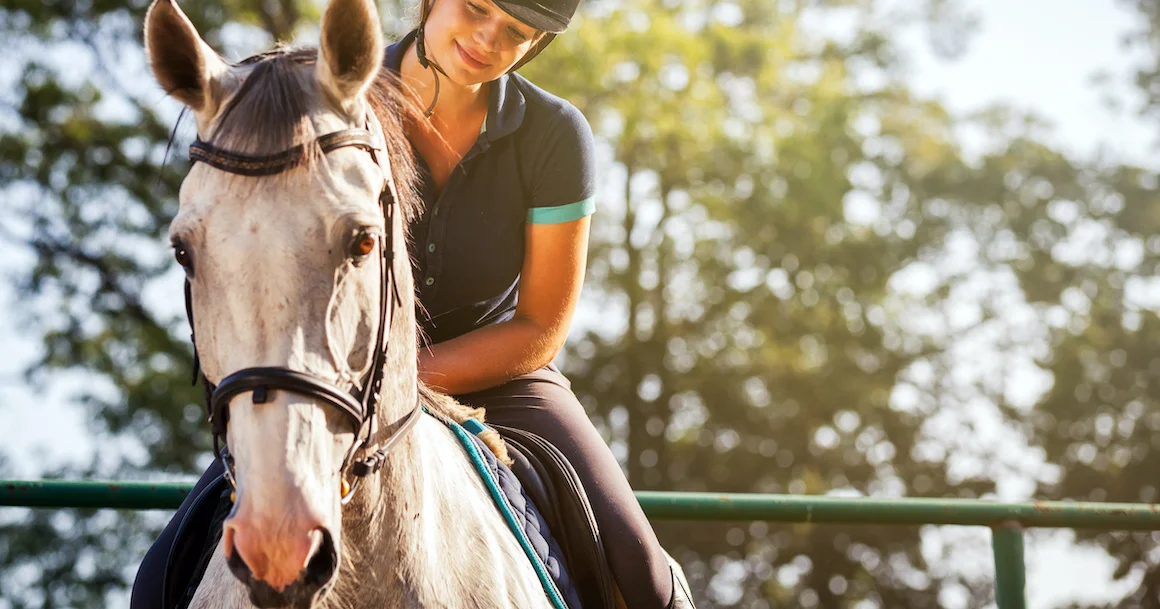 Cavalier à dos de cheval