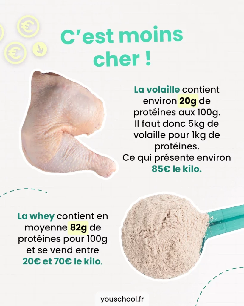 les avantages de la protéine en poudre