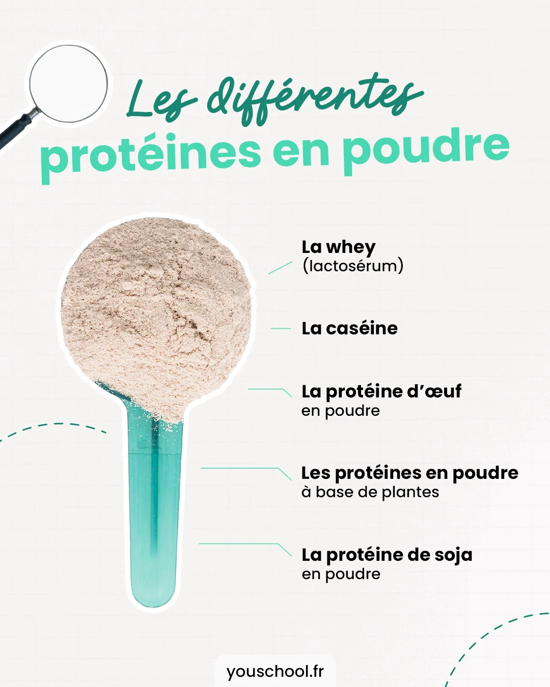 les différentes protéines en poudre qui existent sur le marché