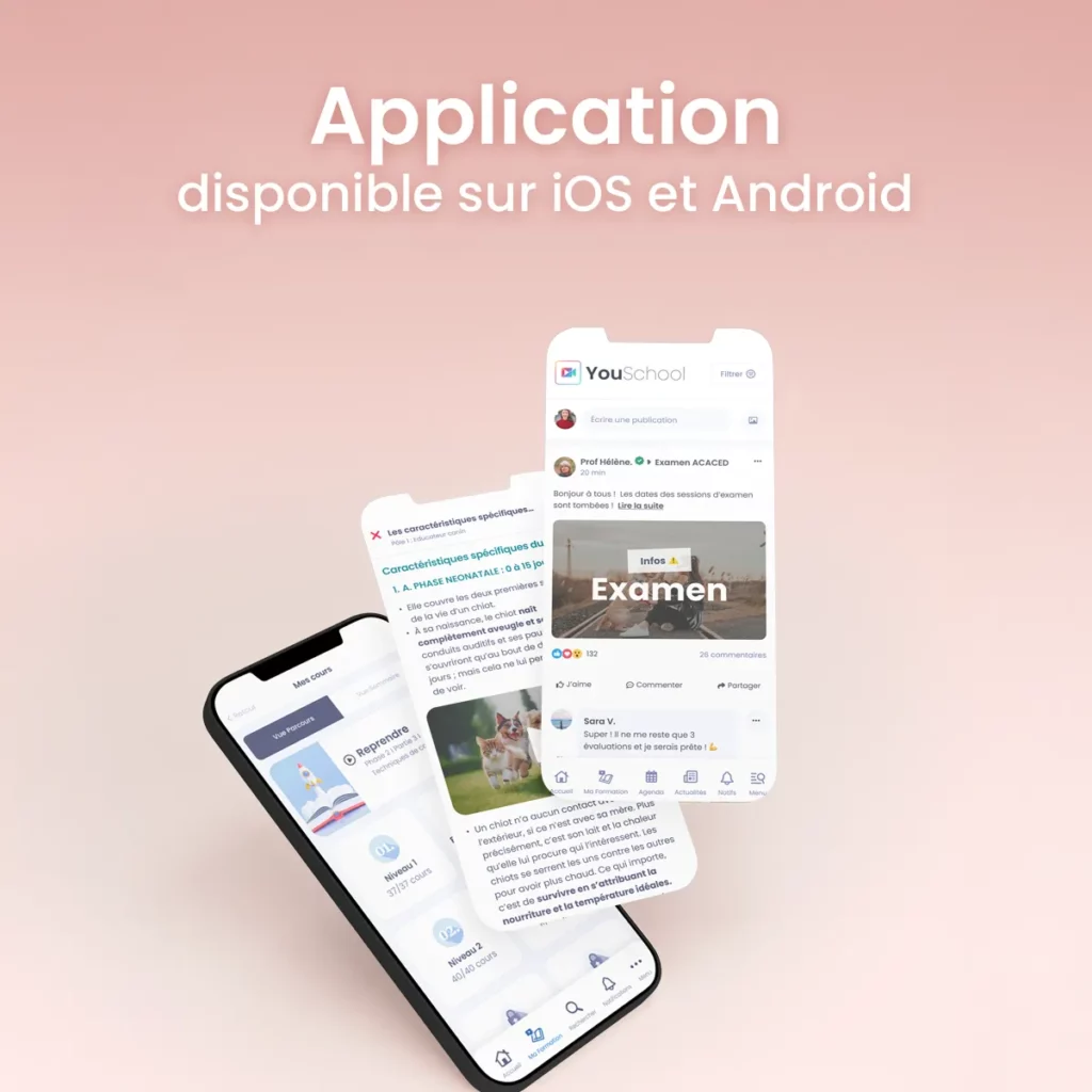 cours-app-avantages-animaux