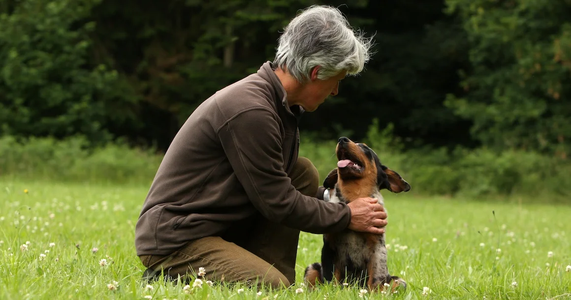 Découvrez comment un chien voit son maître : odeur, voix, gestes…